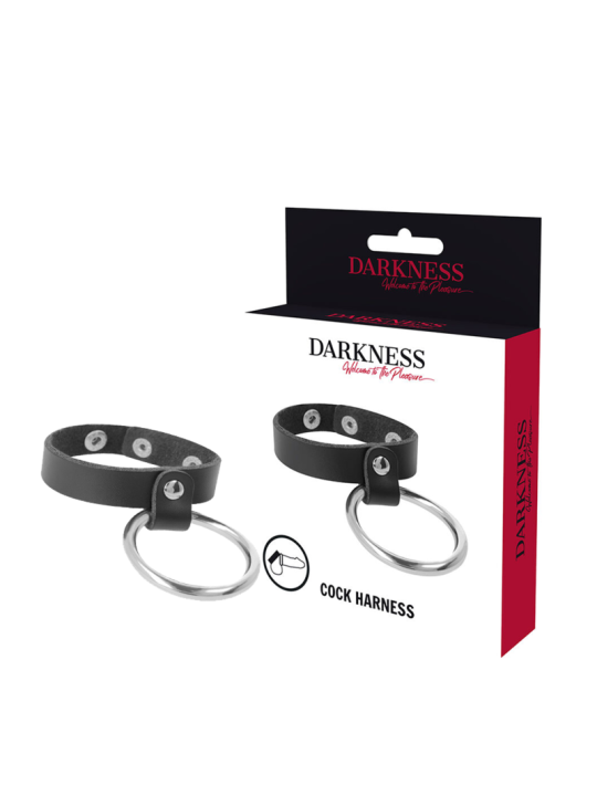 DARKNESS ANILLO DE METAL PARA EL PENE Y TESTICULOS