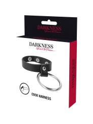 DARKNESS ANILLO DE METAL PARA EL PENE Y TESTICULOS
