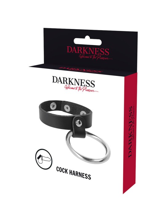 DARKNESS ANILLO DE METAL PARA EL PENE Y TESTICULOS