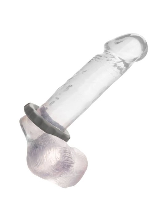 CALEXOTICS ALPHA ERECT RING GRIS