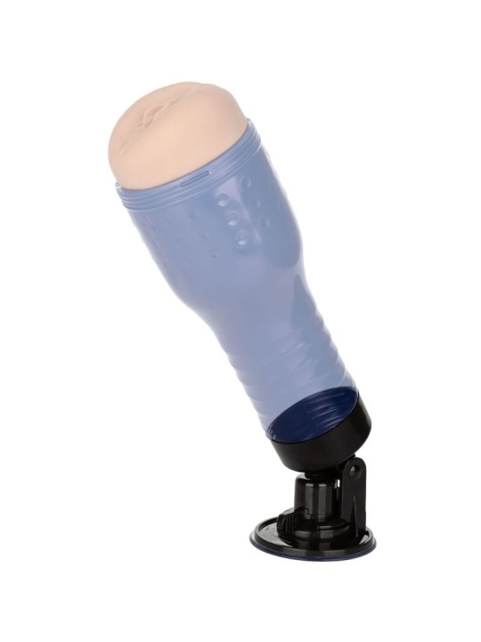 PRIVATE SOPORTE CON VENTOSA PARA MASTURBADOR