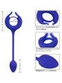 CALEXOTICS ADMIRAL ANILLO CON PESO PARA PENE AZUL
