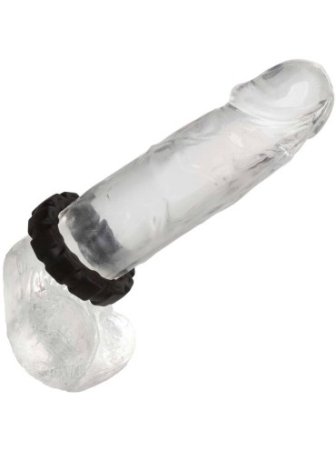 CALEXOTICS ALPHA ANILLO PROLONG BANDA DE RODADURA NEGRO