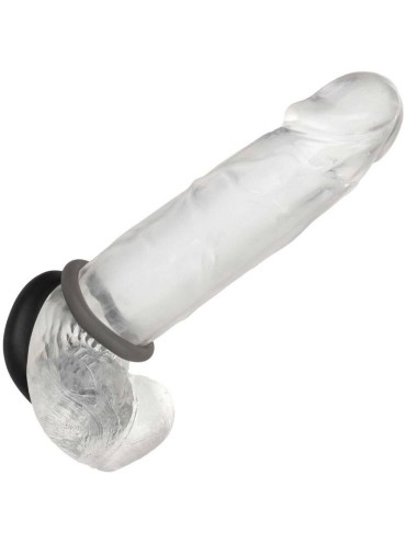 CALEXOTICS ALPHA SET DE 2 ANILLOS PROLONG GRIS