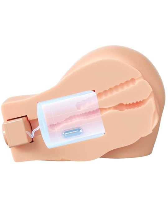 PDX ELITE BACK THAT ASS UP MASTURBADOR VAGINA Y ANO REALISTICO CON VIBRACION