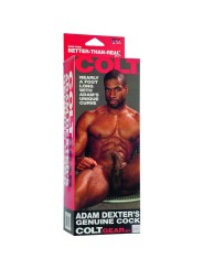 CALEXOTICS COLT PENE REALISTICO ADAM DEXTER