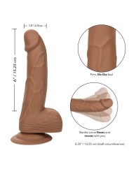 CALEXOTICS SILICONE STUDS 1524 CM BROWN