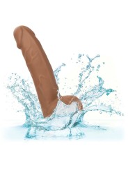 CALEXOTICS SILICONE STUDS 1524 CM BROWN