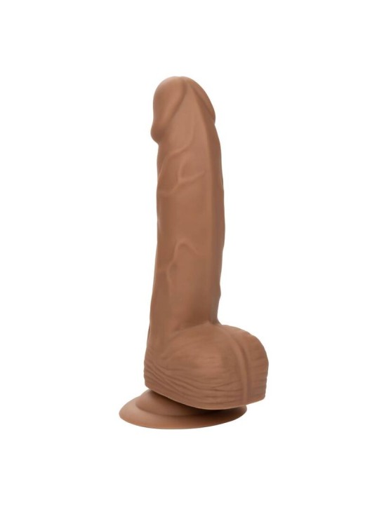 CALEXOTICS SILICONE STUDS 1524 CM BROWN