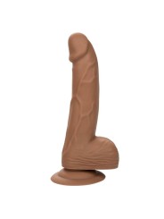 CALEXOTICS SILICONE STUDS 1524 CM BROWN