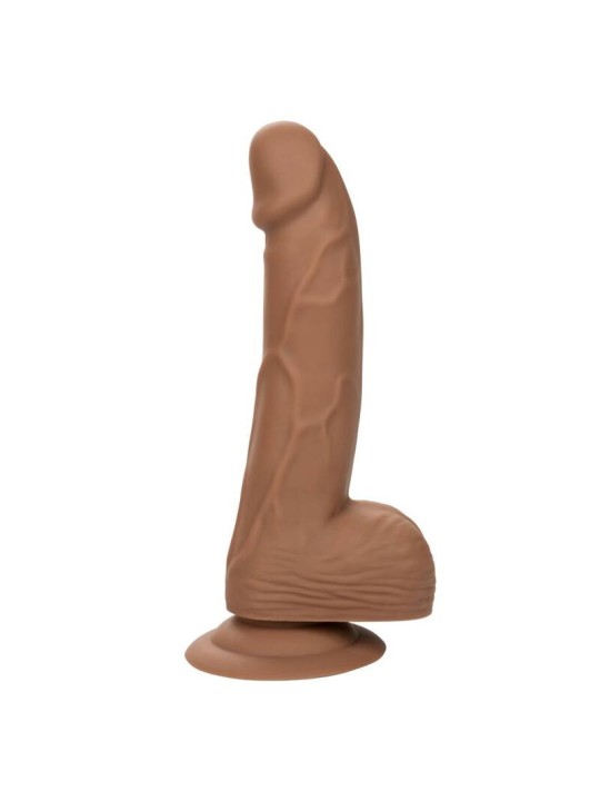 CALEXOTICS SILICONE STUDS 1524 CM BROWN