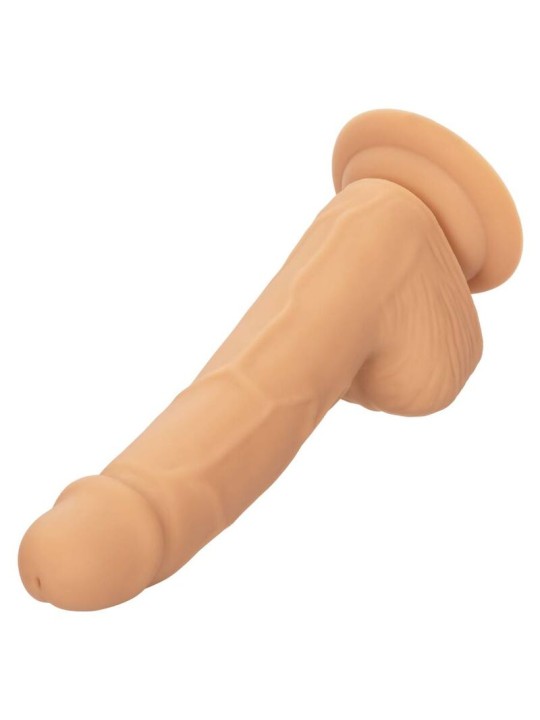 CALEXOTICS SILICONE STUDS 1524 CM SKIN