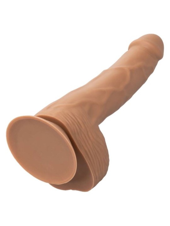 CALEXOTICS SILICONE STUDS 2032 CM BROWN