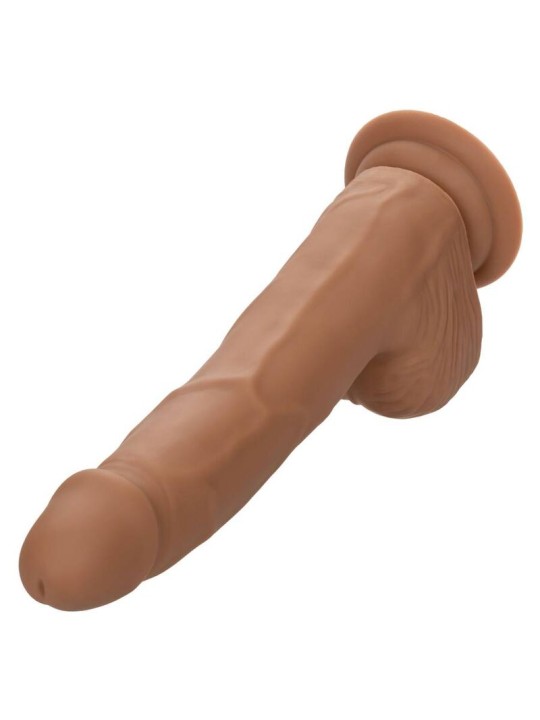 CALEXOTICS SILICONE STUDS 2032 CM BROWN