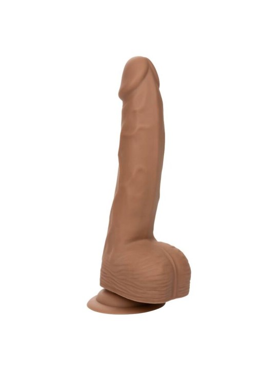 CALEXOTICS SILICONE STUDS 2032 CM BROWN