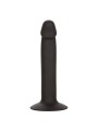 CALEXOTICS SLIM ANAL STUD