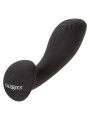 CALEXOTICS LIQUID SILICONE FLEX PROBE CALEXOTICS LIQUID SILICONE FLEX PROBE