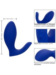 CALEXOTICS ADMIRAL RIMMING ESTIMULADOR VIBRADOR PROSTATA AZUL