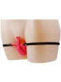 BAILE ULTRA PASSIONATE ARNES MARIPOSA CONTROL REMOTO BAILE ULTRA PASSIONATE ARNES MARIPOSA CONTROL REMOTO