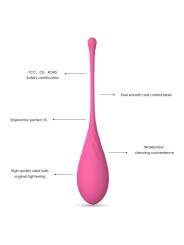 LESLIE KEGEL FIT ENTREGADOR SUELO PELVICO 6 PESOS