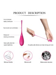 LESLIE KEGEL FIT ENTREGADOR SUELO PELVICO 6 PESOS