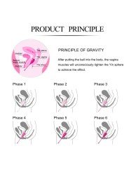 LESLIE KEGEL FIT ENTREGADOR SUELO PELVICO 6 PESOS