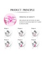 LESLIE KEGEL FIT ENTREGADOR SUELO PELVICO 6 PESOS