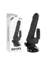 BASECOCK VIBRADOR REALISTICO CONTROL REMOTO NATURAL 185 CM O 4CM