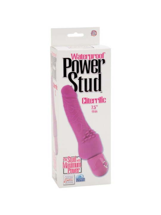 CALEXOTICS POWER STUD CLITERRIFIC VIBRADOR ROSA