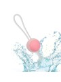 CALEXOTICS SHE OLOGY SET BOLAS KEGEL INTERCAMBIABLES
