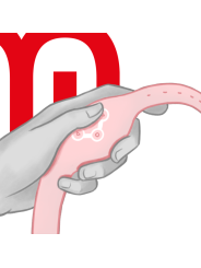 WATCHME RELOJ CONTROL REMOTO WIRELESS TECHNOLOGY ROSORAL