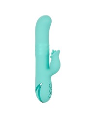 CALEXOTICS BEL AIR BOMBSHELL LIGHT GREEN