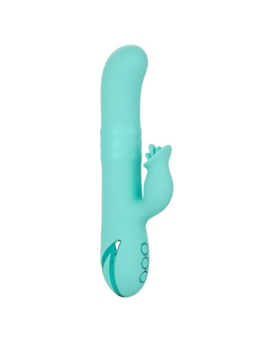 CALEXOTICS BEL AIR BOMBSHELL LIGHT GREEN