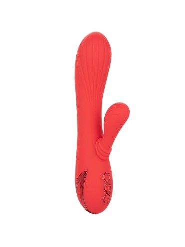 CALEXOTICS PALISADES PASSION RED