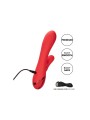 CALEXOTICS PALISADES PASSION RED