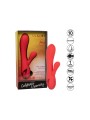CALEXOTICS PALISADES PASSION RED