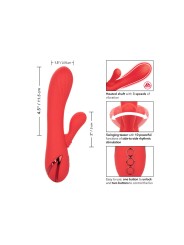 CALEXOTICS PALISADES PASSION RED