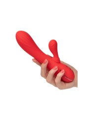 CALEXOTICS PALISADES PASSION RED