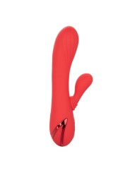 CALEXOTICS PALISADES PASSION RED