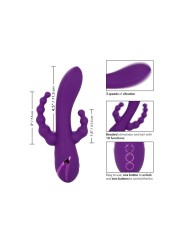 CALEXOTICS LONG BEACH BOOTYLICIOUS PURPLE
