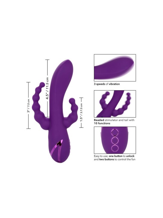 CALEXOTICS LONG BEACH BOOTYLICIOUS PURPLE