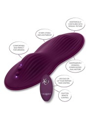 CALEXOTICS REMOTE CONTROL DUAL RIDER