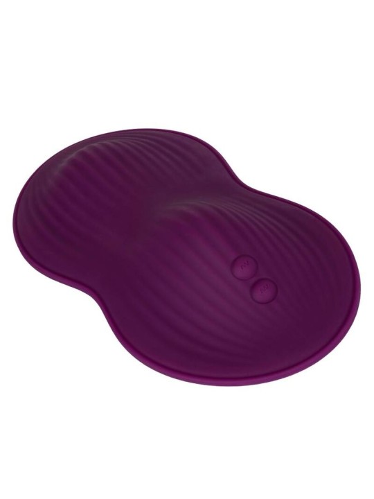 CALEXOTICS REMOTE CONTROL DUAL RIDER