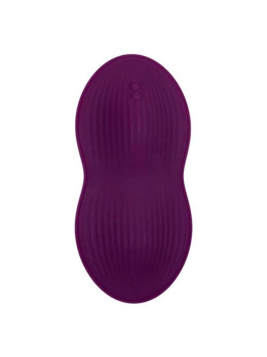 CALEXOTICS REMOTE CONTROL DUAL RIDER