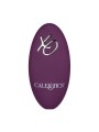 CALEXOTICS REMOTE CONTROL DUAL RIDER