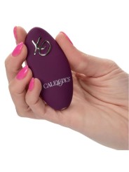 CALEXOTICS REMOTE CONTROL DUAL RIDER