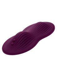 CALEXOTICS REMOTE CONTROL DUAL RIDER