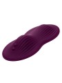 CALEXOTICS REMOTE CONTROL DUAL RIDER