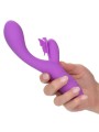 CALEXOTICS BUTTERFLY KISS FLUTTER VIOLETA