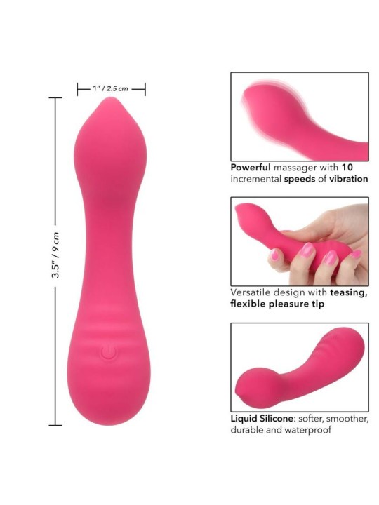 CALEXOTICS PIXIES TEASER ROSA